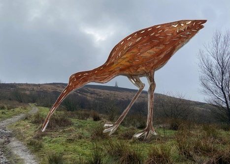 Calling Curlew – artists impression preferred site (002)