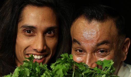 Coriander-Hedge-Portrait-510×300