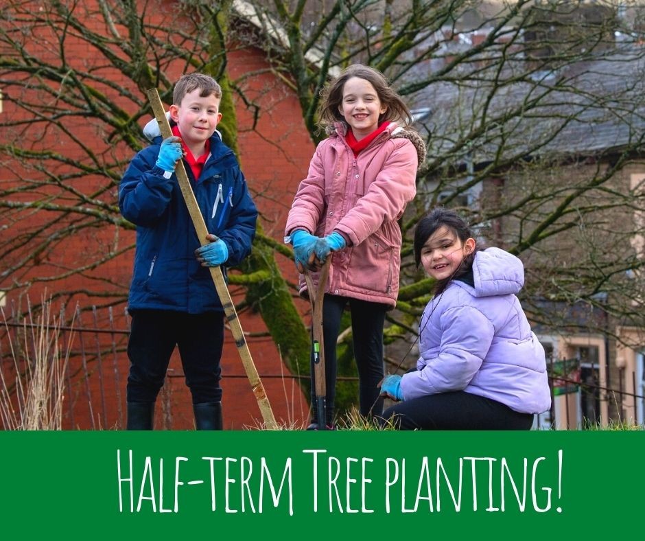 Half-term Tree Planting