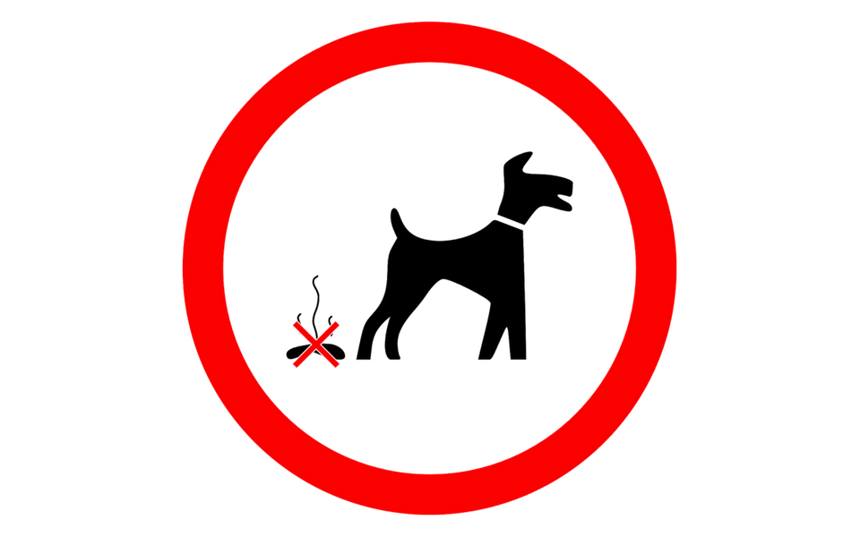 dog fouling