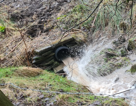 new culvert 