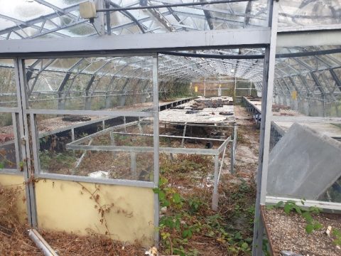 abandoned greenhouse